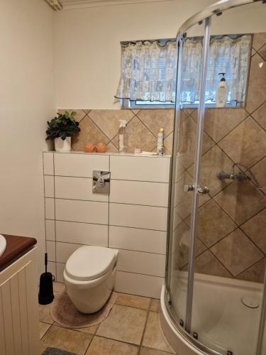 雷克霍特胡西德旅馆的一间带卫生间和淋浴的浴室