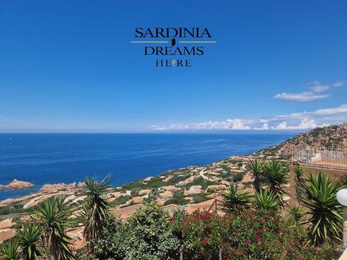 帕拉迪索海岸Villa Flavia con piscina的从棕榈树山丘上欣赏海景