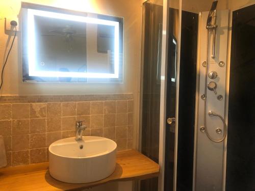 Solférinola maison des ateliers的浴室配有盥洗盆和带镜子的淋浴