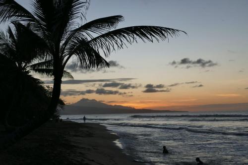 拉特里尼泰la villa caribéenne de la plage des surfeurs的日落时分拥有棕榈树和海洋的海滩