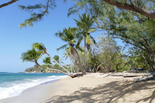 拉特里尼泰la villa caribéenne de la plage des surfeurs的棕榈树海滩和海洋