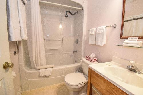 滨湖尼亚加拉Blairpen House Country Inn的浴室配有卫生间、浴缸和水槽。