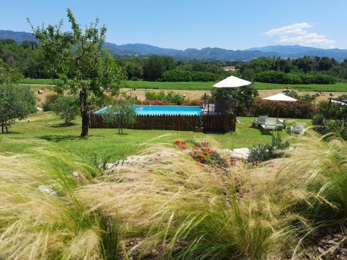 博尔戈圣洛伦索Villa Colle di Giotto Mugello, Tuscany的享有带游泳池的花园美景