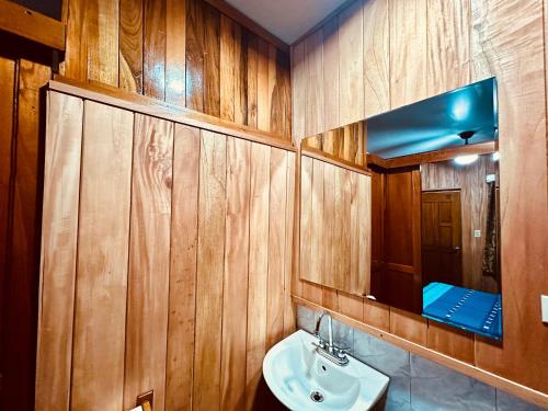 戴维Residencial Coya的浴室设有木墙、水槽和镜子