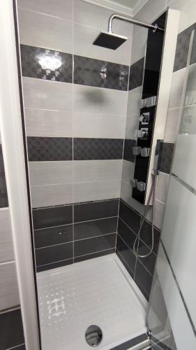塞克希费黑瓦尔Freedom-Fehérvár apartman的浴室里设有玻璃门淋浴