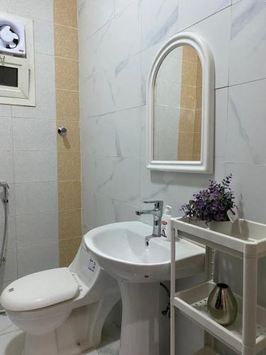 利雅德شقة مدخل خاص دخول ذاتي的一间带水槽、卫生间和镜子的浴室