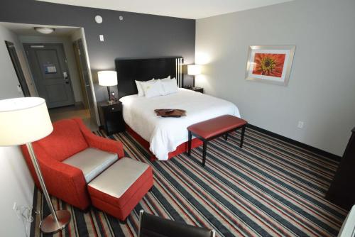 奥尔巴尼奥尔巴尼奥尔巴尼购物中心汉普顿酒店及套房的酒店客房,配有一张床和一张红色椅子