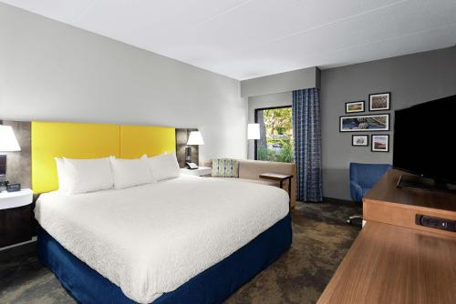费南迪纳比奇艾米丽亚岛希尔顿恒庭酒店的配有一张床和一台平面电视的酒店客房
