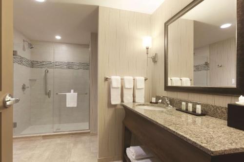 萨拉托加泉萨拉托加温泉希尔顿合博套房酒店的带淋浴、盥洗盆和镜子的浴室