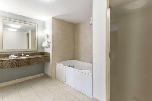 奥尔巴尼奥尔巴尼SUNY区希尔顿花园酒店的带浴缸、水槽和镜子的浴室