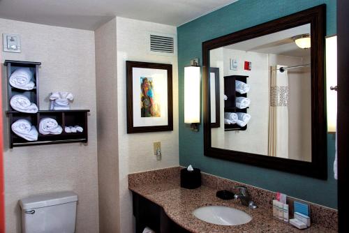 阿马里洛西阿马里洛汉普顿套房酒店的一间带水槽、镜子和卫生间的浴室