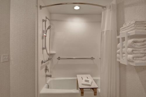 安德森安德森希尔顿恒庭酒店的白色的浴室设有浴缸、水槽和毛巾。