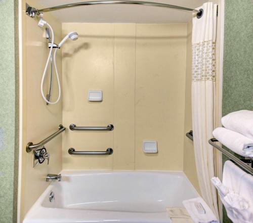 德卢斯亚特兰大德卢斯格威内特汉普顿酒店的一间带浴缸和淋浴的浴室
