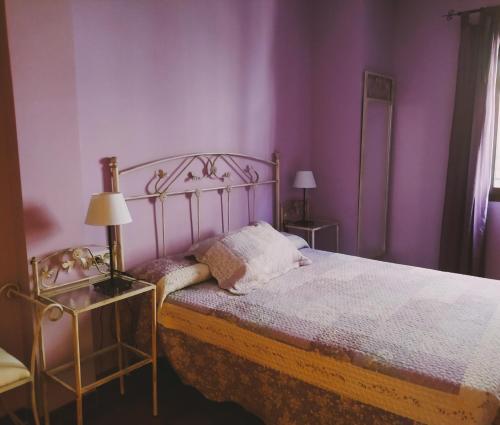 卡韦苏埃拉德尔瓦列El Balcon De Cabezuela Valle del Jerte的一间卧室配有一张紫色墙壁的床
