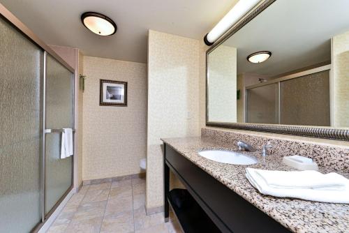 埃尔斯沃思埃尔斯沃思汉普顿酒店的一间带水槽和镜子的浴室