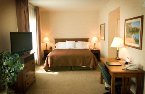 贝克斯菲尔德贝克斯菲尔德惠庭套房酒店的配有一张床和一张书桌的酒店客房