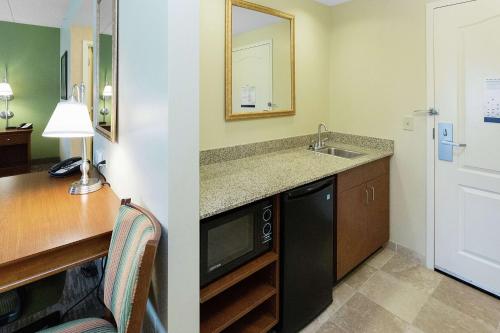 Blairsville布莱尔斯维尔希尔顿恒庭旅馆&套房酒店的带水槽的厨房和带微波炉的书桌