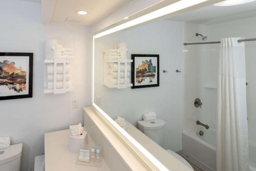 纳什维尔纳什维尔青山汉普顿酒店及套房的带淋浴和卫生间的白色浴室