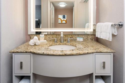 坎顿波士顿/坎通希尔顿惠庭套房酒店的一间带水槽和镜子的浴室