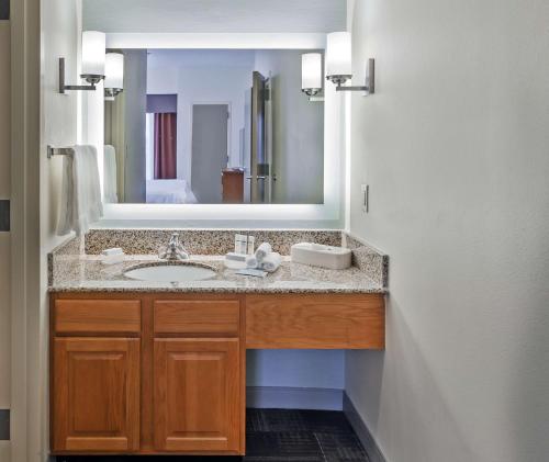 布朗斯维尔布朗斯维尔希尔顿惠庭套房酒店的一间带水槽和大镜子的浴室