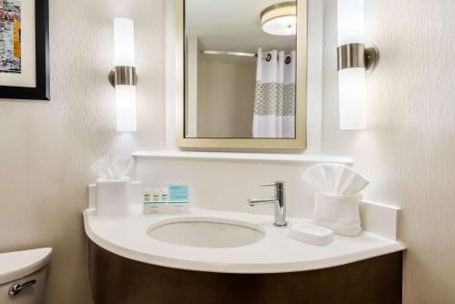 奇克托瓦加布法罗机场广场购物中心汉普顿酒店的一间带水槽和镜子的浴室