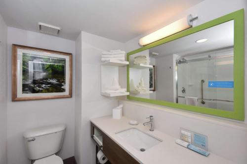 Pisgah Forest布里瓦德汉普顿酒店的一间带卫生间、水槽和镜子的浴室
