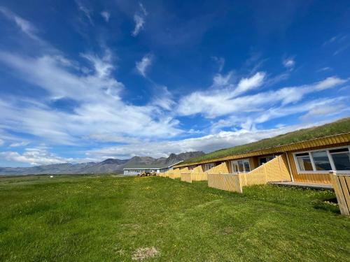 Hofgarðar霍夫旅馆的草屋顶在田野上的建筑