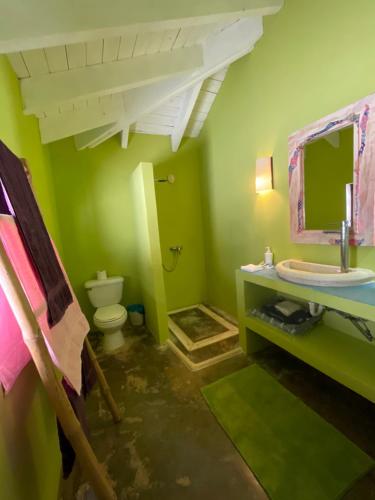拉斯加勒拉斯Guestroom los gorgones的绿色浴室设有水槽和卫生间