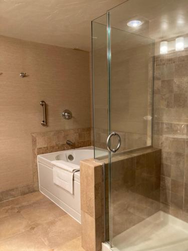坎布里亚蓝海豚酒店 的带淋浴和浴缸的浴室