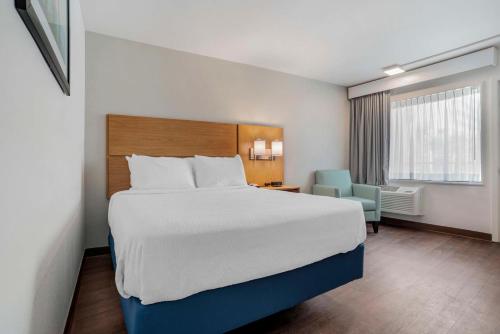 巴拿马城海滩海边城堡汽车旅馆的酒店客房带一张大床和一把椅子