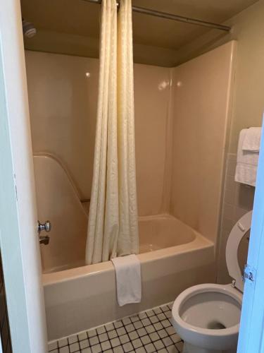 夏洛茨维尔Royal Inn Motel-Charlottesville的带浴缸和卫生间的浴室。