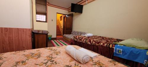 科帕卡巴纳Hostal Sol y Luna的酒店客房设有两张床和电视。