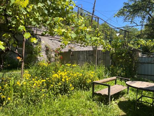 博尔若米Borjomi Makvala's Guest House的一个带长凳和桌子的花园