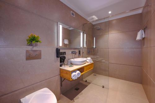 阿格拉Royale Sarovar Portico Agra的一间带水槽、卫生间和淋浴的浴室