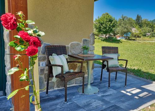 佐尔尼耶戈迪Betlehem Resort的玫瑰庭院里的桌椅