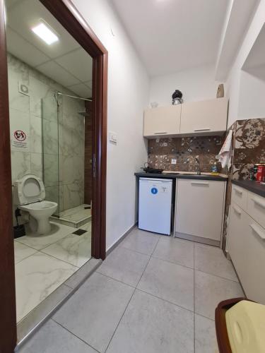 内戈蒂诺Bojana Apartment的一间带水槽和卫生间的厨房