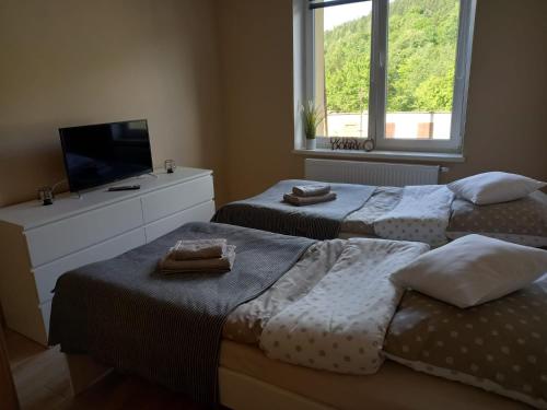 茨兹伊特纳Apartament Górski的一间卧室设有两张床、一台电视和一扇窗户。