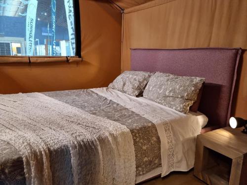 里帕尔贝拉Glamping Debbiare的一间卧室设有一张床和一个窗口