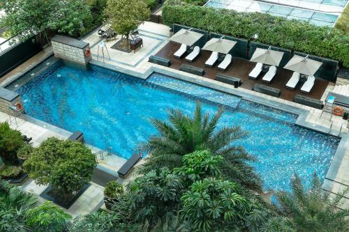 深圳深圳星河丽思卡尔顿酒店的享有带躺椅的游泳池的顶部景致