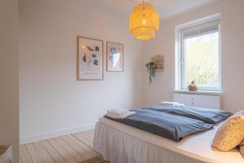 奥尔堡Newly renovated 1-Bed Apartment in Aalborg的一间卧室设有一张床、一个窗户和一个吊灯。