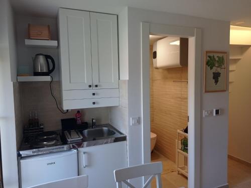耶尔萨Heritage 4-star Studio Apartment Pitve Hvar的一个带水槽和柜台的小厨房