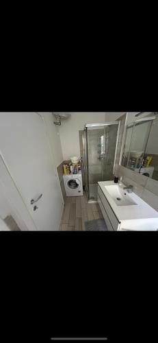 博洛尼亚Baracca 7 apartment的一间带水槽、淋浴和卫生间的浴室
