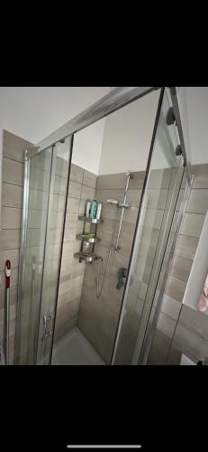 博洛尼亚Baracca 7 apartment的浴室里设有玻璃门淋浴