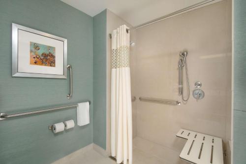 查塔努加查塔努加西/望山汉普顿酒店的带淋浴和浴帘的浴室