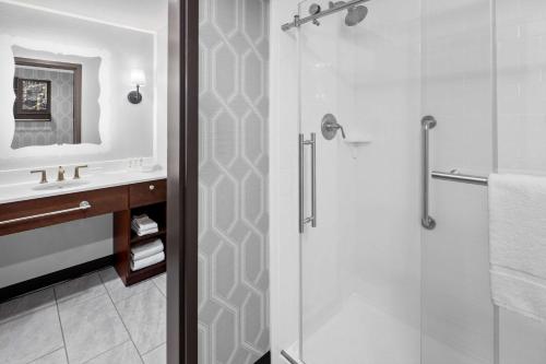 奥兰帕克希尔顿奥兰多帕克霍姆伍德套房酒店的带淋浴和盥洗盆的浴室