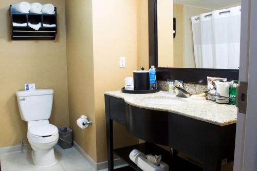 维多利亚城维多利亚城希尔顿汉普顿酒店的浴室设有卫生间和带镜子的盥洗盆