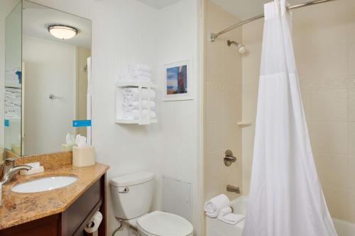 克莱门森克莱姆森希尔顿恒庭酒店的带淋浴、卫生间和盥洗盆的浴室