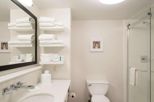 爱丁堡哥伦布/泰勒斯维尔希尔顿恒庭酒店的白色的浴室设有卫生间和淋浴。