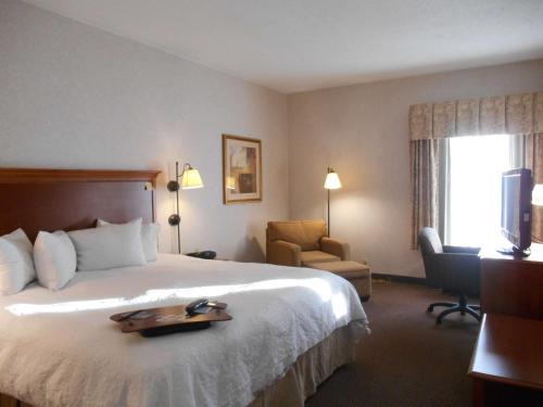 杰汉奈哥伦布国际机场希尔顿恒庭酒店的一间酒店客房,配有一张带托盘的床