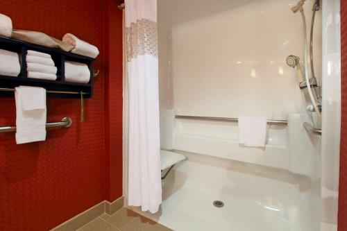 杰汉奈哥伦布国际机场希尔顿恒庭酒店的带淋浴、卫生间和毛巾的浴室